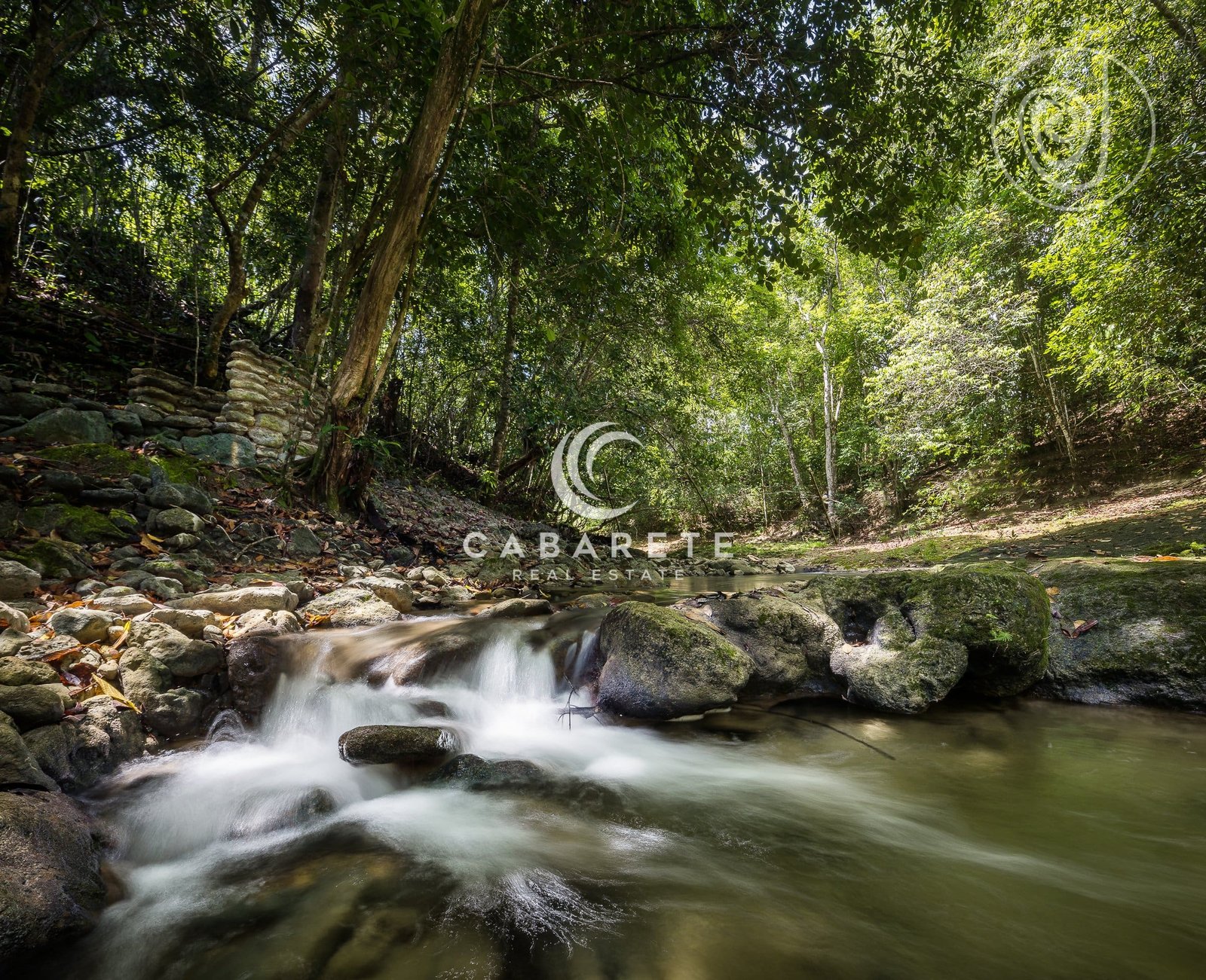 Eco Investment: Luxury Land Opportunity