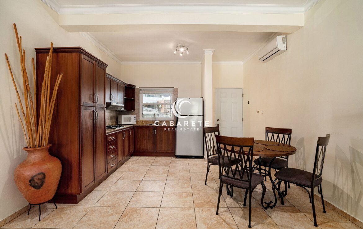 Beachside studio Ocean Dream Cabarete kitchen
