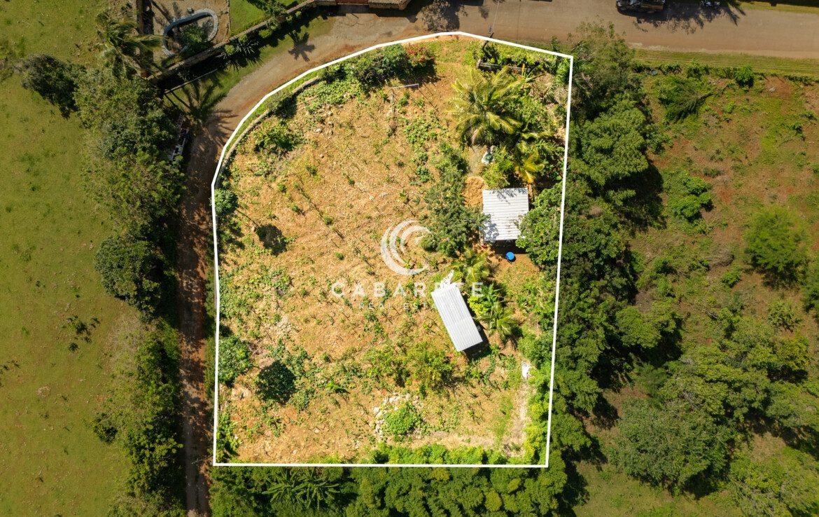 Aerial view showing cultivated garden land with metal roof sheds and ocean dream apartment nearby
