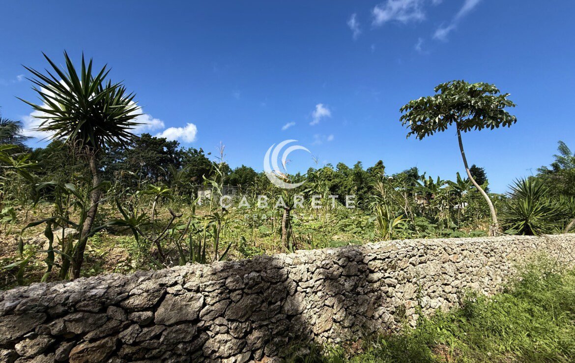 cabarete rustic stone wall garden view cabarete beachfront homes