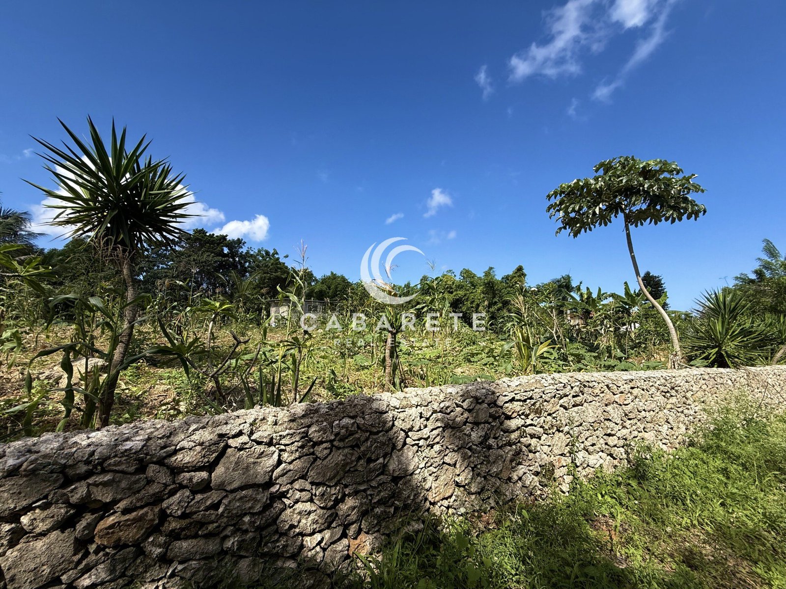 cabarete rustic stone wall garden view cabarete beachfront homes
