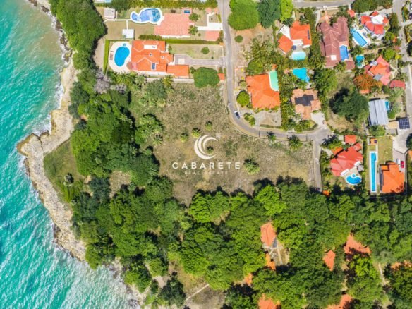 Beachfront Surf Lot