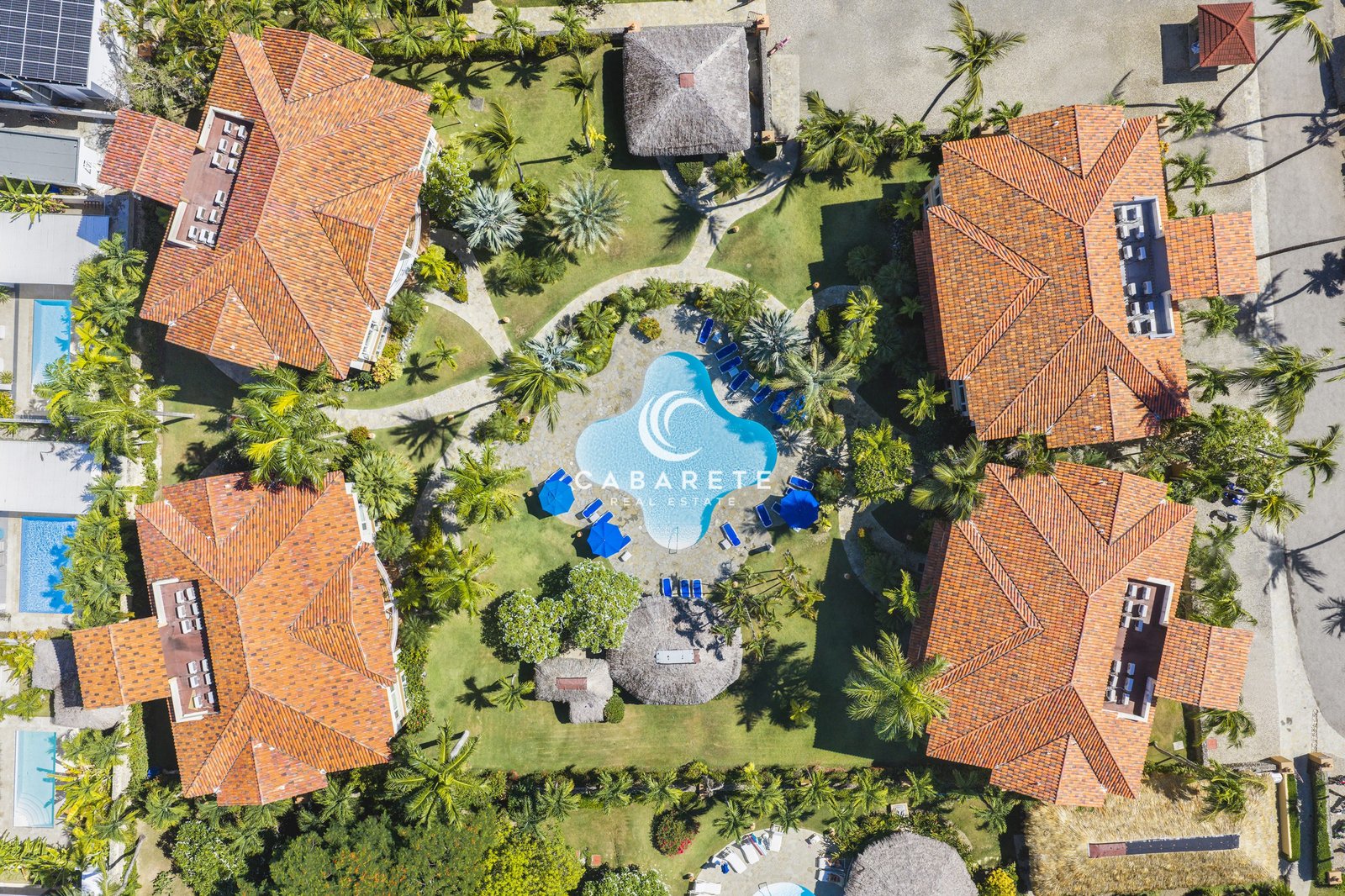 Ocean Dream swimming pool surrounded by tropical gardens in Cabarete