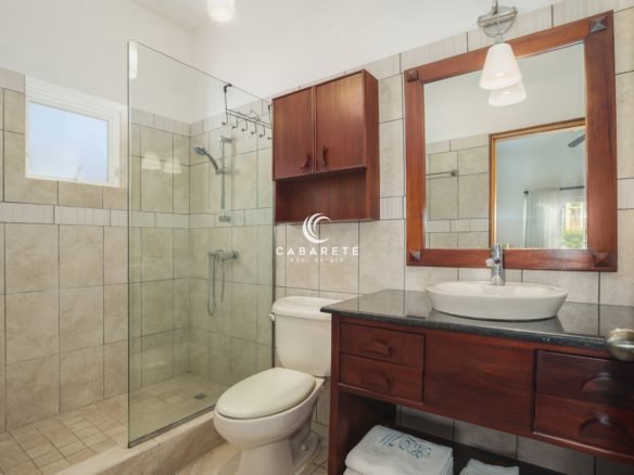 Ensuite bathroom with walk-in shower in Ocean Dream Cabarete condo