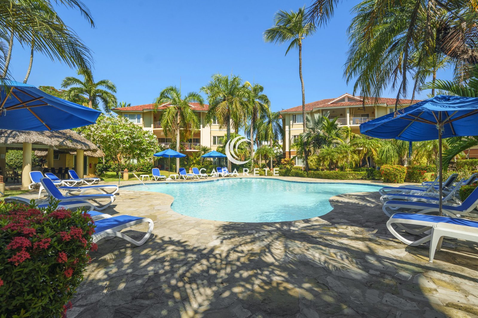 Ocean Dream swimming pool surrounded by tropical gardens in Cabarete